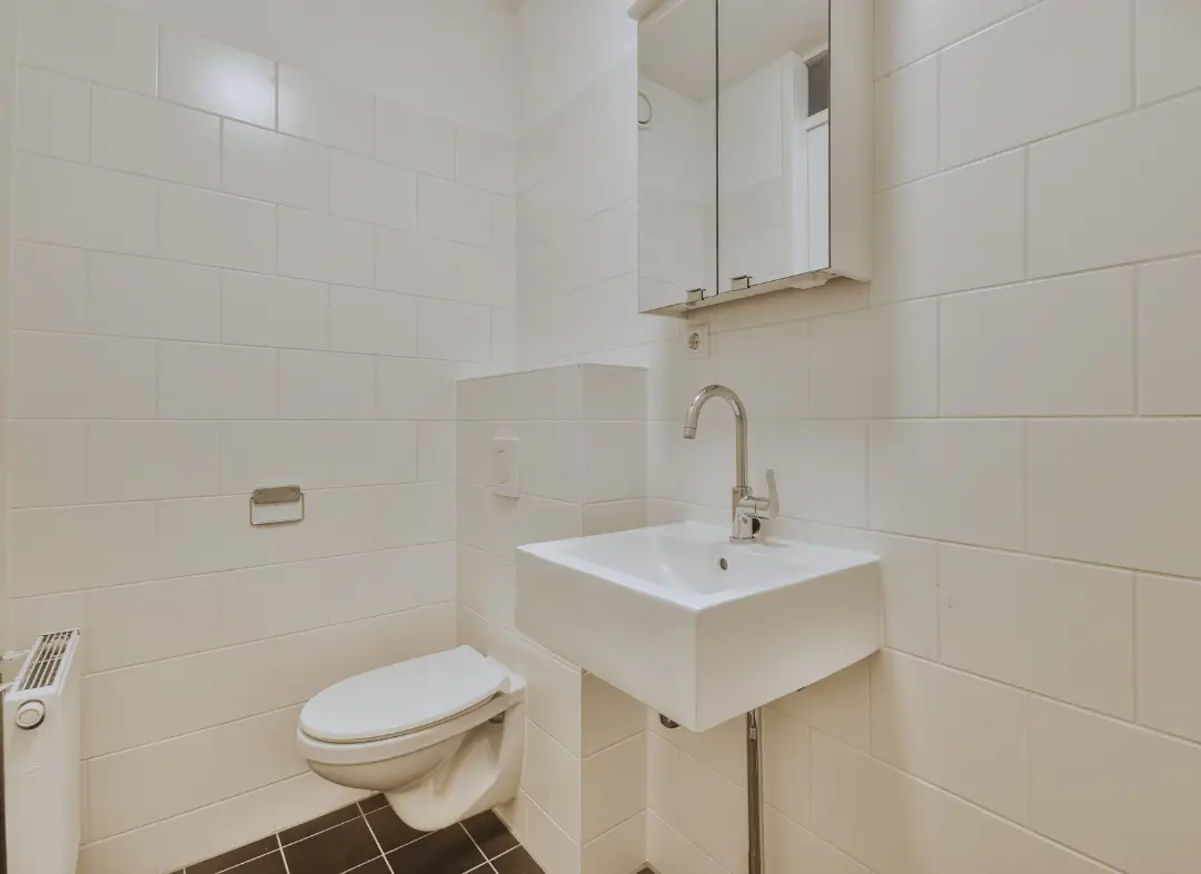 Pose WC Suspendu Évian-les-Bains